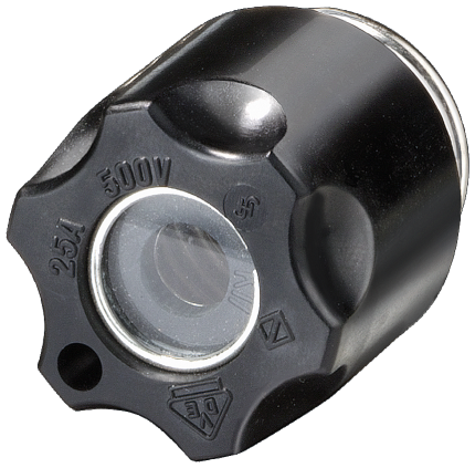 5SH1231 DIAZED-SCREW CAP DIII 63A